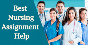 Top Online Nursing Assignment Help