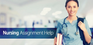 Best Online Nursing Assignments