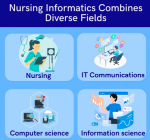 HSN/376: Health Information Technology for Nursing