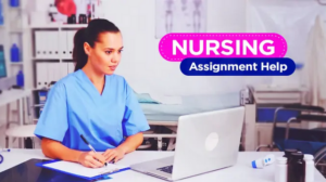 online nursing assignment help