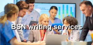 Cheap Nursing Writing Company