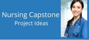 Capstone Project Writing Assistance