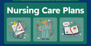 Nursing Care Plan Services